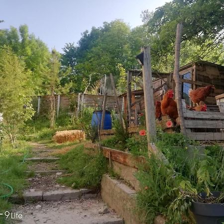 La Cabane Des Trappeurs Crépy-en-Valois Dış mekan fotoğraf