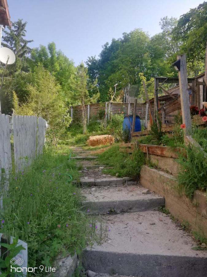 La Cabane Des Trappeurs Crépy-en-Valois Dış mekan fotoğraf